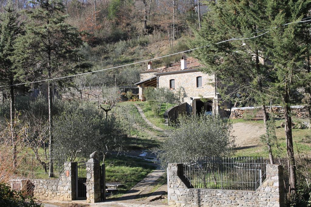 Case Vacanza S. Nicola Viggianello Exteriér fotografie